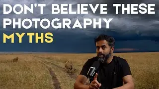 5 Wildlife Photography Myths that are Ruining your Photos (Forget these Rules)