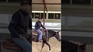 Essa dica &eacute; top montar os potros de said pull