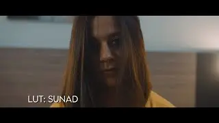 Film Look BlackMagic Pocket 6k &  4K 5 Cinematic Luts PACK