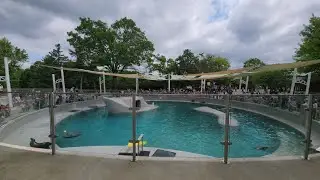 IHOPKC & KCZOO Paina 2024