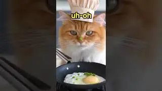 #catcooking #catdance #catlovers #catmemes #cattrends #cattrends2025 #catvideo #cutecats