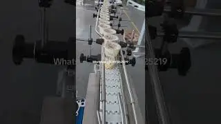 Product conveyor belt