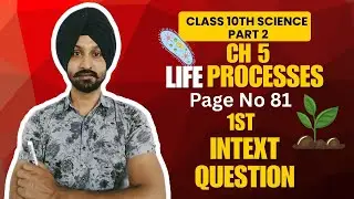 Diffusion & Oxygen Needs in Humans | Life Processes Class 10 #CBSE #PSEB