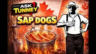 SAP DOGS