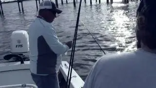 Fishing Charters Clearwater Dunedin Palm Harbor Captain Brian Inshore Saltwater Fishing