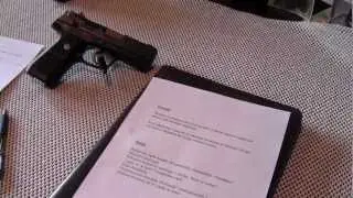 Gun Buying Strategies Episode #2