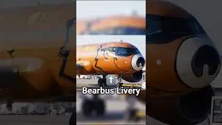 Weirdest Aircraft Liveries