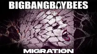 Bigbangbaybees - Migration ( Official Video )