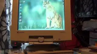 Gateway 2000 PC running Windows 95 in 2023 (startup).
