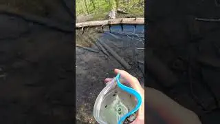 Cnoc Water Bag Fill Up #shorts short