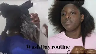 My Simple Wash Day Routine 4c hair ft Tailored Beauty(Safe for all ages) | Dina Tall