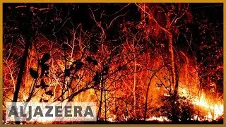 Bolivia: Ecological disaster as Amazon blazes rage