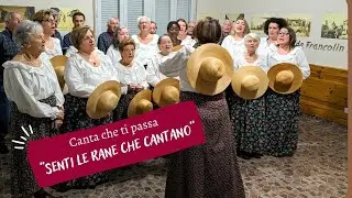 Senti le rane che cantano