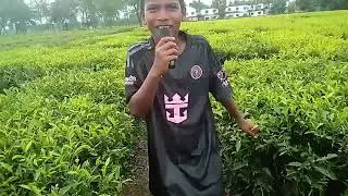 Roma singer. 2025