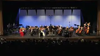MOZART Symphony No  40 in G minor, K  550 1st MVMT