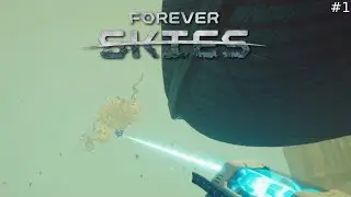 Forever Skies Part 1: A slow start