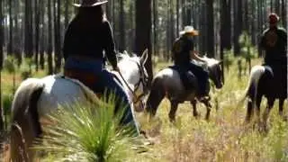 OCSO Mounted Posse Practices Search Techniques