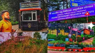IVRI Mukteshwar Vlog | Mountainpad