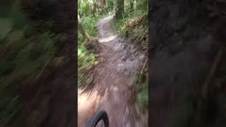 Soldiers Creek mtb trail on gravel bike