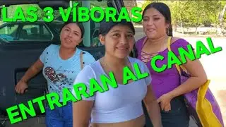 URGENTE! LAS 3 VÍBORAS LISTAS PARA ENTRAR AL CANAL DEL PINOCHO AHORA SI