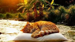 Float to Sleep: Cat Dozing Riverside + Calm Water & Ambient Nature Sounds