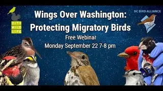 Wings Over Washington: Protecting Migratory Birds
