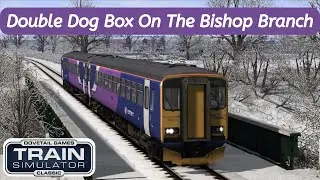 DOUBLE Dog Box | Class 153 EP | Bishop Auckland To Darlington | Train Sim Classic