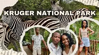 Vlogmas 5 | On a Lion hunt in the Kruger National Park | Skukuza Rest Camp | Family Vacation | Part1