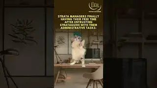 Dance your way to more free time with Strataguide's expert assistance in your strata!