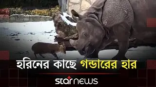 পোল্যান্ডের চিড়িয়াখানায় অবাক ব্যাপার | Poland | Zoo | Star News