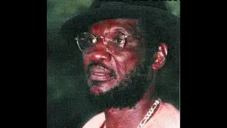 Dub Born Here, Niney The Observer, Tribute to Don Quarrie, Bongo Herman, The Bold Dub, King Tubby