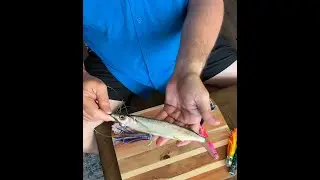 Easy & Secure! How to Rig Ballyhoo with a Bait Spring Like a Pro!