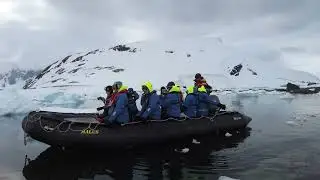 Cuverville Island, Antarctica