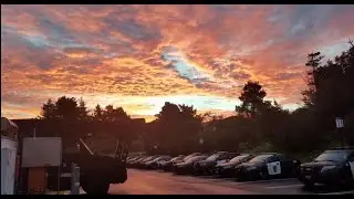 Daly City Police Department: A year in review (2019)
