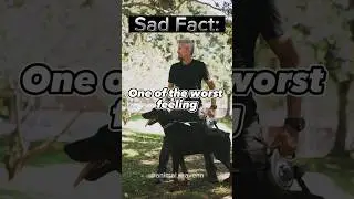 Aftermath Of SELECTIVE EMPATHY 🐾🥺🔥 | Sad Facts #dog #animals #shorts #ytshorts #animalpain