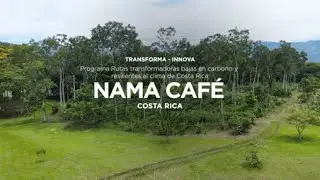 NAMA Caf&eacute; Costa Rica - Programa Transforma-Innova