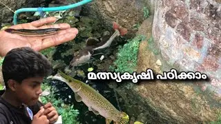 മത്സ്യകൃഷി പഠിക്കാം |ഇവിടെ ഇതൊക്കെ മെനുകള ഉള്ളത് | ഇ ചേട്ടൻ പൊളി ആണ് #shorts #shorts #shorts #shorts