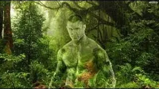 Sean Bond | PSIONIC CAMOUFLAGE 1 | Tags & psychic tracking