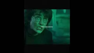 #cedricdiggory #harrypotter #jamespotter #edit #harrypotterbrasil #potterhead