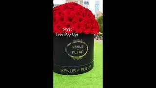 NYC Free Events - Pop Ups