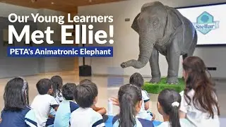 Our Young Learners Met Ellie -  Peta's Animatronic Elephant @officialPETAIndia