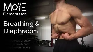 Elements for: 'Breathing & Diaphragm'