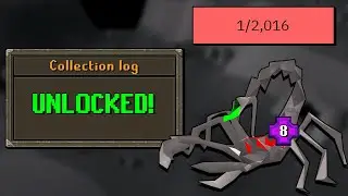 Kill Over 2000 Scorpia OR Get The Pet - On Drop Rate #20