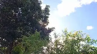 A vereda do justo &eacute; como a luz da aurora que vai brilhando mais e mais at&eacute; ser dia perfeito.