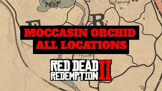 All 10 Moccasin Orchid Locations | Red Dead Redemption 2