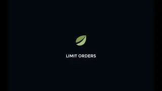 Bitfinex - Limit Orders