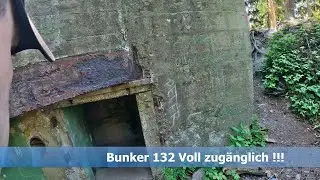Westwall Hürtgenwald Eifel Bunker Tour - Luke4Family
