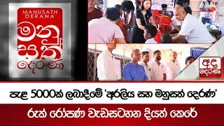 පැළ 5000ක් ලබාදීමේ 'අරලිය සහ මනුසත් දෙරණ'රුක් රෝපණ වැඩසටහන දියත් කෙරේ | Ada Derana