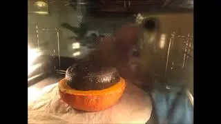 Vulcano bread for Eclipse 2017 simulation