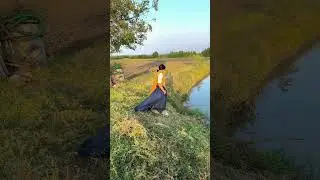 adivasi queen official // adivashi video // trending video // short video // video // timli video